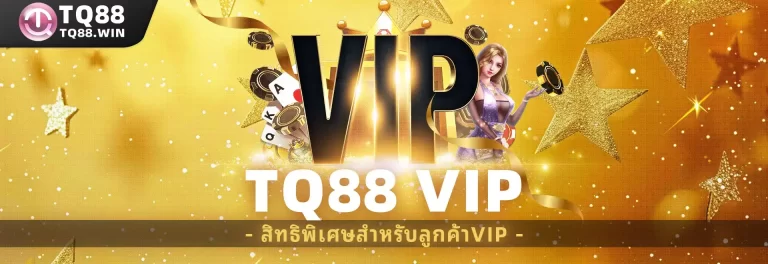 ข้อกำหนดในการอัปเกรด VIP และรักษาระดับ
